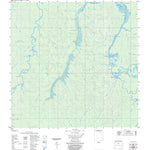 ENGESAT INTERNATIONAL IGARAPÉ CAPINARANA digital map
