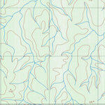ENGESAT INTERNATIONAL IGARAPÉ CAPINARANA digital map