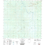ENGESAT INTERNATIONAL IGARAPÉ CUJUBIM digital map