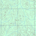 ENGESAT INTERNATIONAL IGARAPÉ DO ANANÁS digital map