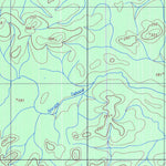 ENGESAT INTERNATIONAL IGARAPÉ DO CANIÇO digital map