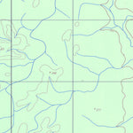 ENGESAT INTERNATIONAL IGARAPÉ DO JACARÉ digital map
