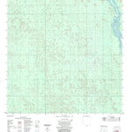 ENGESAT INTERNATIONAL IGARAPÉ DO PEREIRA digital map