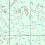 ENGESAT INTERNATIONAL IGARAPÉ DO PEREIRA digital map