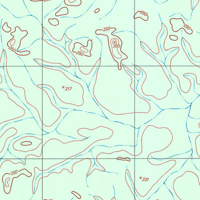 ENGESAT INTERNATIONAL IGARAPÉ DO PEREIRA digital map