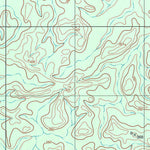 ENGESAT INTERNATIONAL IGARAPÉ DO PEREIRA digital map