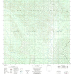 ENGESAT INTERNATIONAL IGARAPÉ DO TADEU digital map