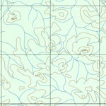 ENGESAT INTERNATIONAL IGARAPÉ DO TRAVESSÃO digital map