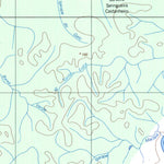 ENGESAT INTERNATIONAL IGARAPÉ DUELO digital map