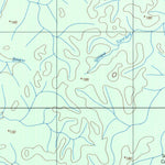 ENGESAT INTERNATIONAL IGARAPÉ DUELO digital map