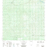 ENGESAT INTERNATIONAL IGARAPÉ INGARANA digital map