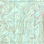 ENGESAT INTERNATIONAL IGARAPÉ INIQUIARE digital map