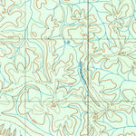 ENGESAT INTERNATIONAL IGARAPÉ MARACANÃZINHO digital map
