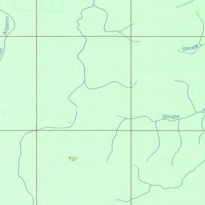 ENGESAT INTERNATIONAL IGARAPÉ MUNGUBA digital map