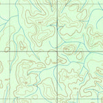 ENGESAT INTERNATIONAL IGARAPÉ PILÃO digital map