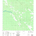 ENGESAT INTERNATIONAL IGARAPÉ PIMENTAL digital map