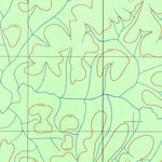 ENGESAT INTERNATIONAL IGARAPÉ PIMENTAL digital map