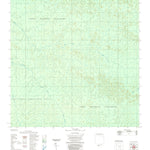 ENGESAT INTERNATIONAL IGARAPÉ PIRANHAQUARA digital map