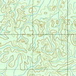 ENGESAT INTERNATIONAL IGARAPÉ PIRANHAQUARA digital map