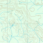 ENGESAT INTERNATIONAL IGARAPÉ TIBORNA digital map