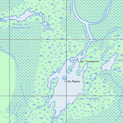 ENGESAT INTERNATIONAL LAGO JARÍ digital map