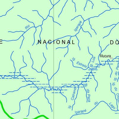 ENGESAT INTERNATIONAL Manaus digital map