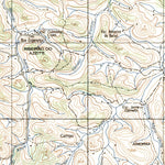 ENGESAT INTERNATIONAL MERCÊS digital map