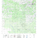 ENGESAT INTERNATIONAL MINEIROS digital map