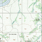 ENGESAT INTERNATIONAL PALMEIRANTE digital map