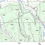 ENGESAT INTERNATIONAL PALMITAL digital map