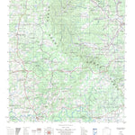ENGESAT INTERNATIONAL PONTE ALTA digital map