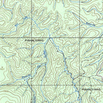 ENGESAT INTERNATIONAL PONTE ALTA digital map