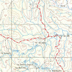 ENGESAT INTERNATIONAL PONTE BRANCA digital map
