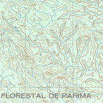 ENGESAT INTERNATIONAL RESERVA FLORESTAL DE PARIMA digital map