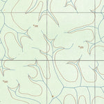 ENGESAT INTERNATIONAL RIBEIRÃO ARIRANHA digital map