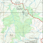 ENGESAT INTERNATIONAL RIBEIRÃO VERMELHO DO SUL digital map