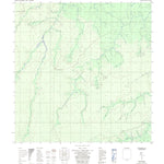 ENGESAT INTERNATIONAL RIO ALEGRE digital map