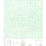 ENGESAT INTERNATIONAL RIO BELÉM digital map