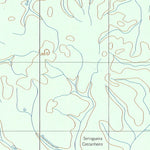 ENGESAT INTERNATIONAL RIO BELÉM digital map