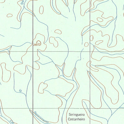 ENGESAT INTERNATIONAL RIO BELÉM digital map