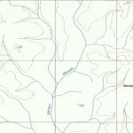 ENGESAT INTERNATIONAL RIO BRANCO digital map