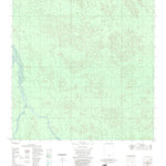 ENGESAT INTERNATIONAL RIO CARAJARI digital map