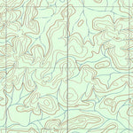 ENGESAT INTERNATIONAL RIO CARAJARI digital map