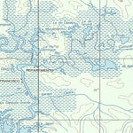 ENGESAT INTERNATIONAL RIO CUMINAMIRI digital map