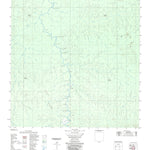 ENGESAT INTERNATIONAL RIO GUARIBA digital map