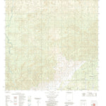 ENGESAT INTERNATIONAL RIO JAUARI digital map