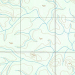 ENGESAT INTERNATIONAL RIO MIRIM digital map