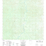 ENGESAT INTERNATIONAL RIO NOVO digital map