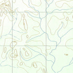 ENGESAT INTERNATIONAL RIO URUARÁ digital map