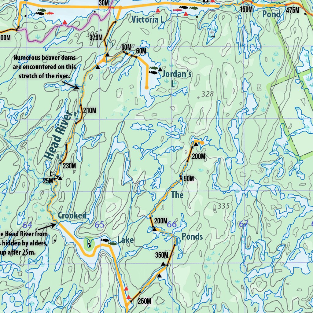 Queen Elizabeth II Wildlands Provincial Park Backcountry Map V0.9 by ...